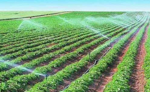 女生插b视频农田高 效节水灌溉